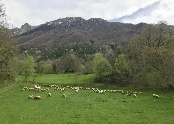 Dom wakacyjny Petit Aoulet